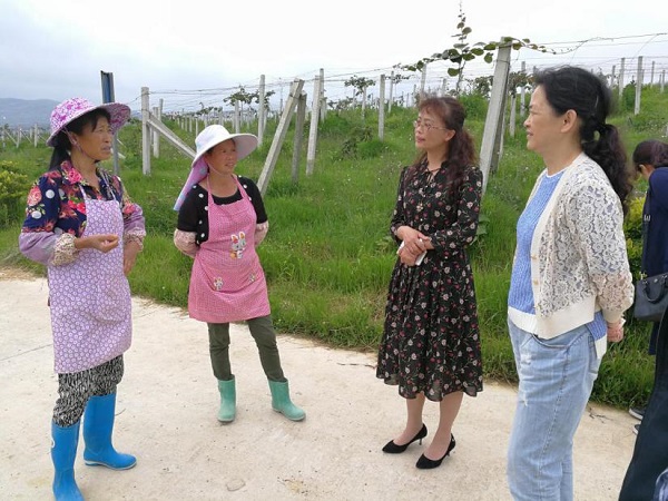 图片4.jpg 图片4.jpg