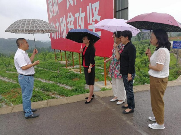 图片5.jpg 图片5.jpg