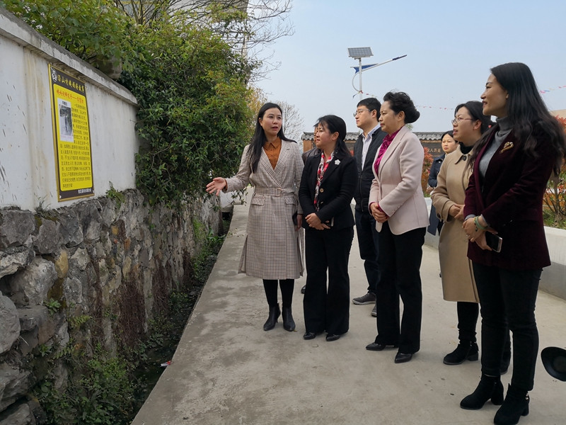 在贵定县沿山镇村铺头寨调研最美家庭建设.jpg